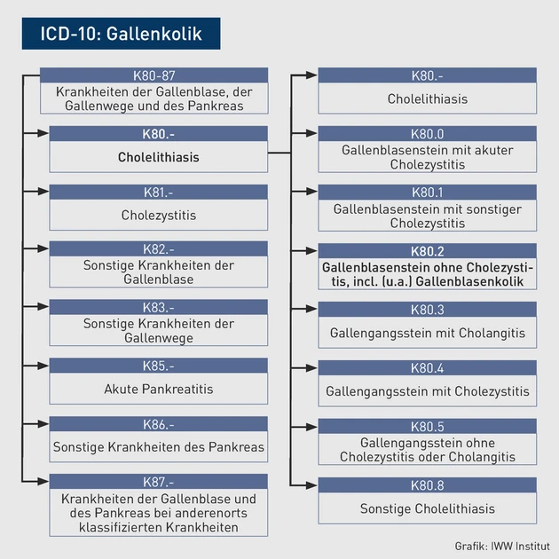 AAA_Grafik_ICD10_Gallenkolik.eps (Bild: © IWW)