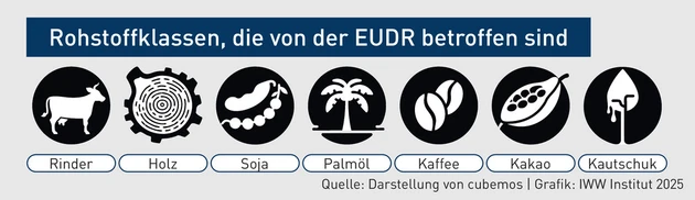 BBP-Grafik_EUDR_1.eps (Bild: IWW; teilweise KI-generiert mit Adobe Firefly)