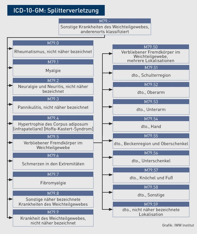 AAA-Grafik_ICD_Splitterverletzung.eps (Bild: IWW Institut)