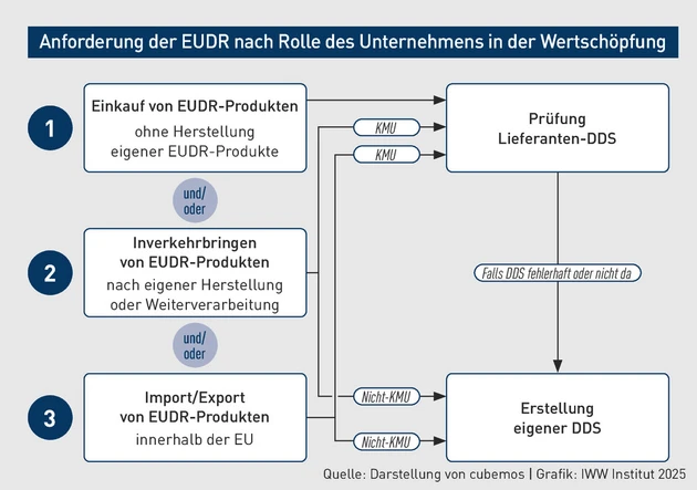BBP-Grafik_EUDR_2.eps (Bild: IWW)