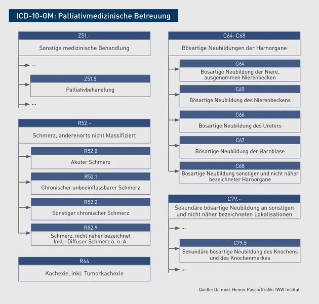 AAA_Grafik_ICD_P_Palliativmedizinische Betreuung.eps (© IWW Institut)