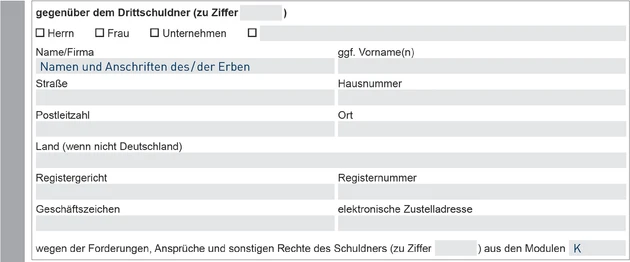 Entwurf_Pfändungsbeschluss_EE-12-23_Seite4-1.eps (© IWW Institut)