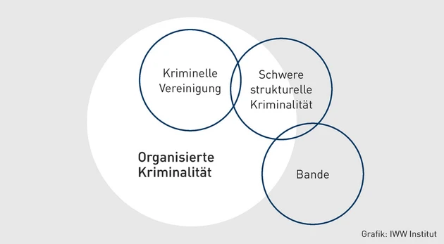 PStR-10.2024_Grafik_Organisierte Kriminalität.eps (© IWW Institut)