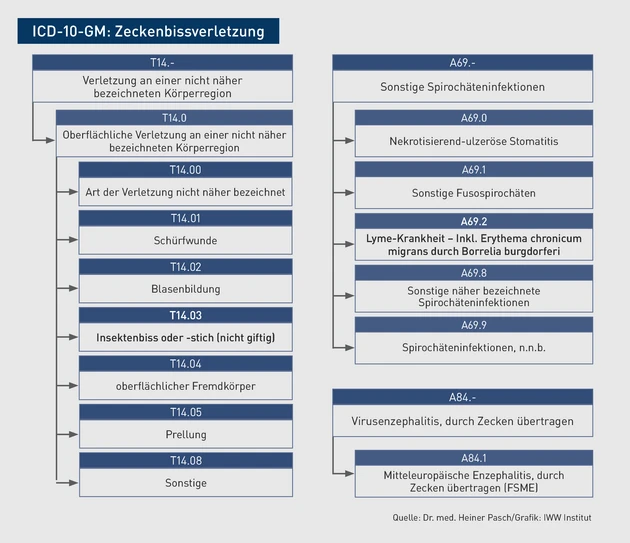 AAA_Grafik_ICD_Z_Zeckenbiss.eps (© IWW Institut)