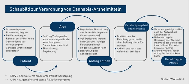 AAA_Grafik_Schaubild zur Verordnung von Cannabis-Arzneimitteln.eps (© IWW Institut)