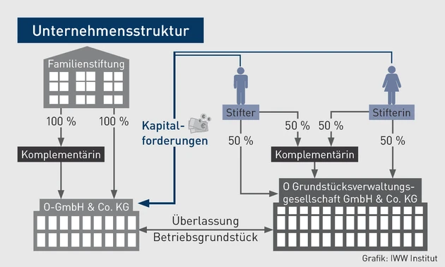 SB_Grafik_Unternehmensstruktur.eps (© IWW Institut)